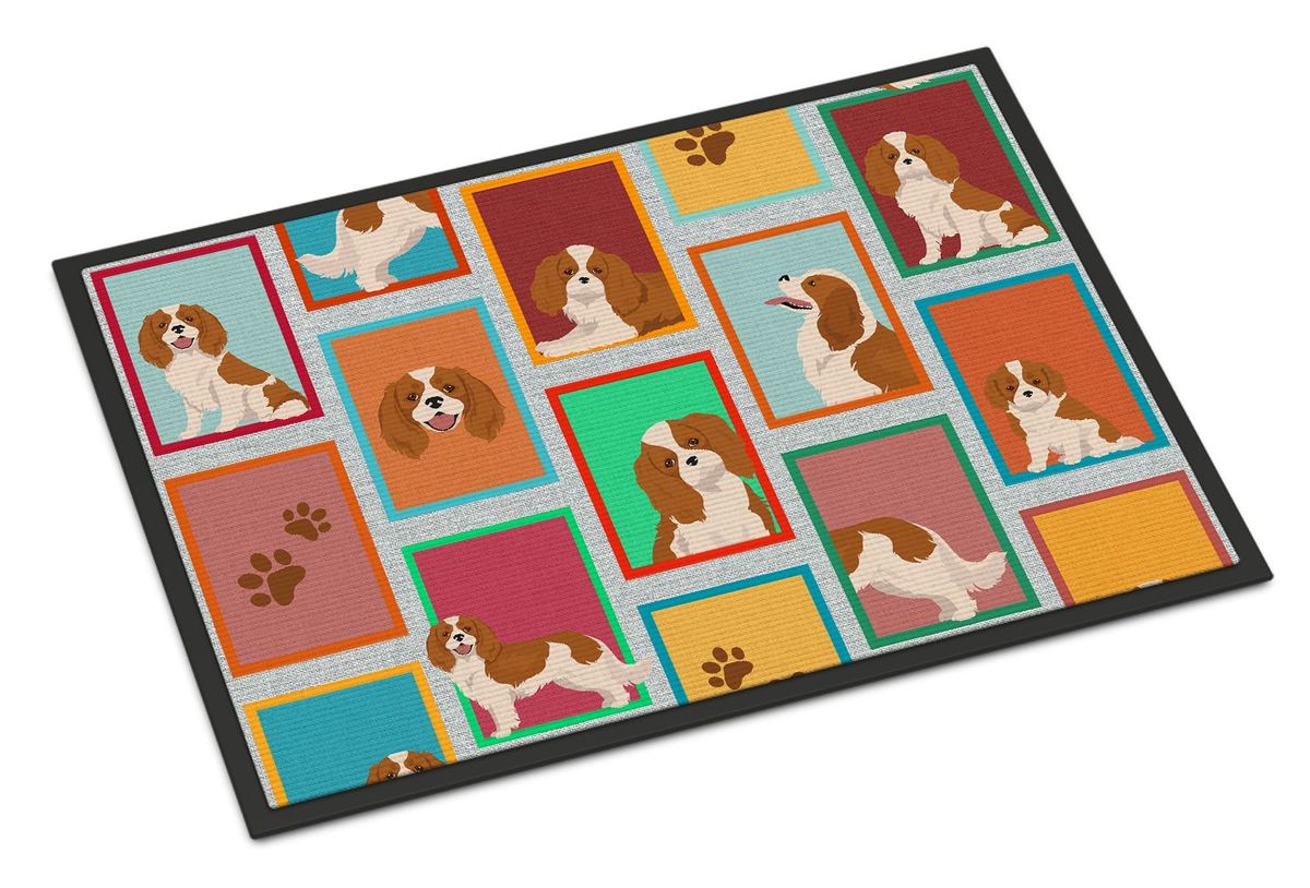 Lots Of Blenheim Cavalier Spaniel Doormat Front Door Mat Indoor Outdoor Rugs For Entryway, Non Slip Washable Low Pile, 24H X 36W_maomaolike.com
