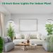 LED Angel Ring Plant Light 6 Inch Full Spectrum Plant Grow Light Indoor Large Pot Plant Fill Light_maomaolike.com