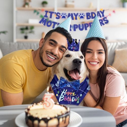 Dog Birthday Party Supplies, Boy Dog Birthday Bandana Set With Cute Dog Bowtie, Scarf, Birthday Banner Balloons And Hat With Numbers For Medium And Extra Large Dogs Pets(Blue)_maomaolike.com