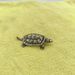 Handcrafted Precision Cast Polished Brass Golden Small Longevity Turtle Plaything Handheld Ornament Tea Pet Craft_maomaolike.com