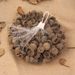 Decoration Pine Cone Acorn Flower Handmade DIY Forest Kindergarten Environmental Creation Dried Branches Wild Creative_maomaolike.com
