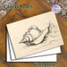Conch Shell & Wave Themed Painting Poster, Hand-drawn Minimalist Line Art Poster, Adds Tranquil Coastal Vibe, Ideal For Living Room, Bedroom And_maomaolike.com