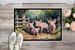 Piglets In The Mud Doormat Front Door Mat Indoor Outdoor Rugs For Entryway, Non Slip Washable Low Pile, 24H X 36W_maomaolike.com
