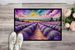 English Lavender In Color Doormat Front Door Mat Indoor Outdoor Rugs For Entryway, Non Slip Washable Low Pile, 24H X 36W_maomaolike.com
