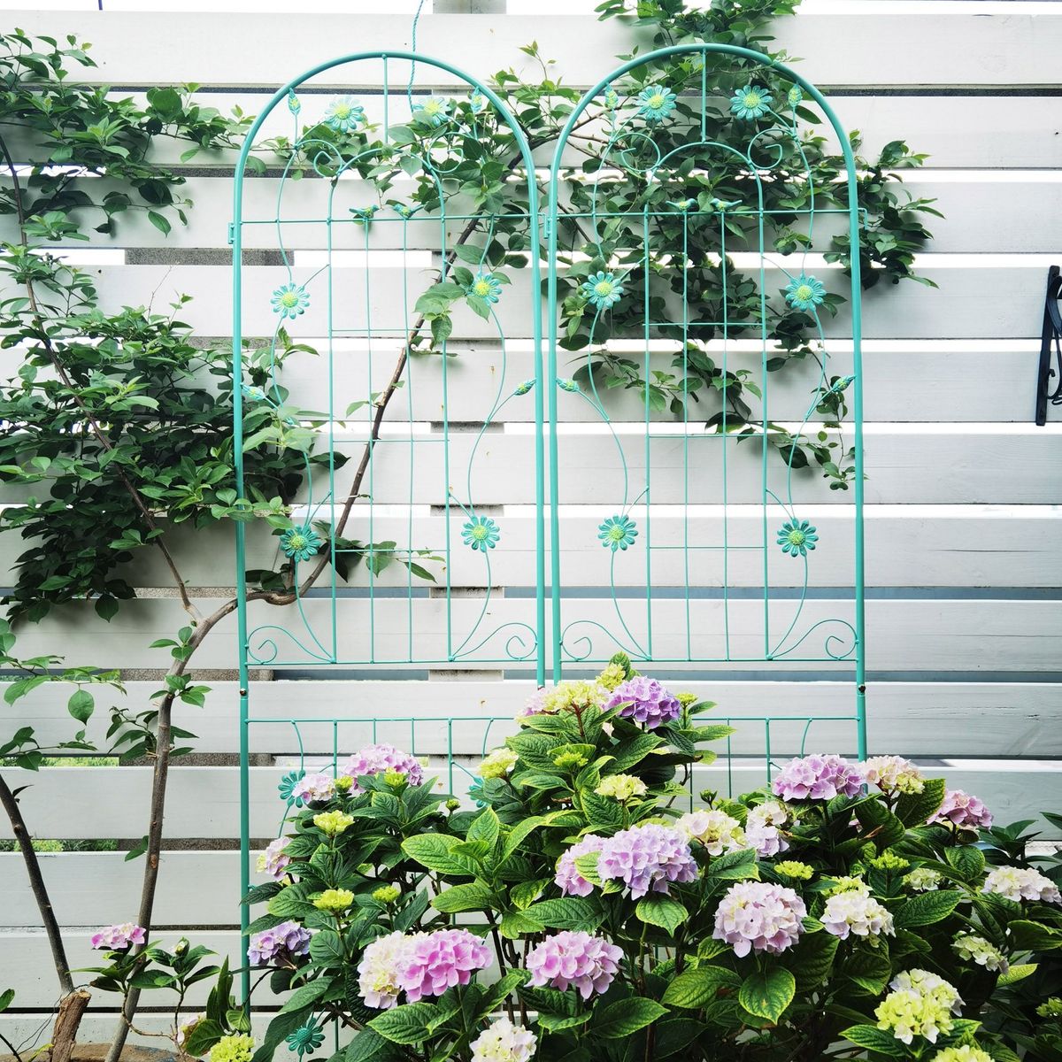 2 Pack Metal Garden Trellis 86.7" X 19.7" Rustproof Trellis For Climbing Plants Outdoor Flower Support Light Green_maomaolike.com