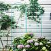 2 Pack Metal Garden Trellis 86.7" X 19.7" Rustproof Trellis For Climbing Plants Outdoor Flower Support Light Green_maomaolike.com