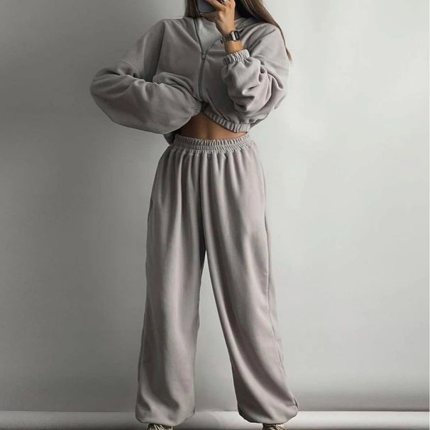 Women's Clothing women's silver fox fleece sweatshirt two piece suit women's stock 1213_maomaolike.com