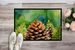 Maine White Pine Cone And Tassels In Watercolor Doormat Front Door Mat Indoor Outdoor Rugs For Entryway, Non Slip Washable Low Pile, 24H X 36W_maomaolike.com