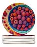 Colorful Raspberries Large Sandstone Coasters Pack Of 4 Absorbent Round Coasters Decor Gifts For Men Or Women, 4 In, Multicolor_maomaolike.com