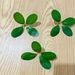 Single-piece Artificial Small Money Bayberry Store Gift Box Decoration, Fake Leaves, Plastic Fruit Green Leaves_maomaolike.com