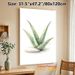 Aloe Vera Painting Poster, Soft Watercolor Style Aloe With Smooth Stone Poster, Fresh Natural Vibe, Ideal For Bedroom, Living Room And Bathroom_maomaolike.com
