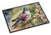 Pigeon Doormat Front Door Mat Indoor Outdoor Rugs For Entryway, Non Slip Washable Low Pile, 24H X 36W_maomaolike.com