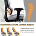Multi-functional Ergonomic Mesh Office Chair With Adjustable Armrest,Footrest,Lumbar Support, 360° Silent Wheels,Headrest For Home & Office_maomaolike.com