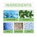 Jaysuing Formaldehyde Removal Spray New Home Office Renovation Removal Odor Removal Purification Spray_maomaolike.com