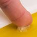 Sticky Insect Board Powerful Flycatcher Yellow Blue Sticker Sheet Greenhouse Pest Control Insecticide Double-sided_maomaolike.com