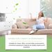 Jaysuing Formaldehyde Removal Spray New Home Office Renovation Removal Odor Removal Purification Spray_maomaolike.com