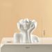 INS Nordic Style High-End Home Creative Light Luxury Living Room Decorative Vase Craft Hydroponic Ornament_maomaolike.com