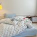 Wholesale INS Japanese Simple Colorful Plaid Pure Jacquard Four-Piece Nordic Style Full Washed Cotton 4-Piece Set_maomaolike.com