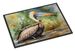 Pelican Doormat Front Door Mat Indoor Outdoor Rugs For Entryway, Non Slip Washable Low Pile, 24H X 36W_maomaolike.com