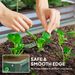 Galvanized Raised Garden Bed, 4' X 4' X 1' Metal Planter Box, For Growing Vegetables, Flowers, Herbs, Succulents, Green_maomaolike.com