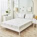 Leaf Line Pattern Three Piece Digital Printing Bed Sheet Bedding Set For Adults And Children_maomaolike.com