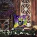 Great Dane King Of Mardi Gras Throw Pillow Machine Washable, Indoor Outdoor Decorative Pillow For Couch, Bed Or Patio, 14Hx14W_maomaolike.com