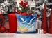 Gulls Soaring High Throw Pillow Machine Washable, Indoor Outdoor Decorative Pillow For Couch, Bed Or Patio, 14Hx14W_maomaolike.com
