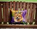 Finnish Spitz King Of Mardi Gras Throw Pillow Machine Washable, Indoor Outdoor Decorative Pillow For Couch, Bed Or Patio, 14Hx14W_maomaolike.com