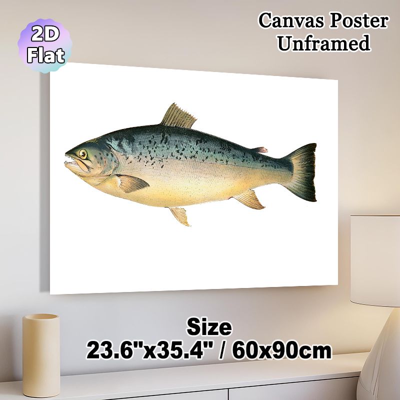 Salmon Themed Painting Poster, Vintage Detailed Salmon Illustration Poster, Realistic Aquatic Artwork, Suitable For Coastal-themed Spaces, Dining_maomaolike.com