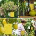 Strong Sticky Double Sided Insect Proof Tape Yellow Tree Trap Sticker Garden Pest Control Prevent Moths Insects Climbing_maomaolike.com