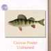 Perch Themed Painting Poster, Vintage Realistic Illustrated Poster, Detailed Striped Perch Artwork With Reddish Fins, Ideal For Study And Fishing_maomaolike.com