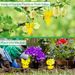 Double-sided Insect Catcher Fly Sticky Trap Board Flycatcher Sticker Plate Pest Traps Bugs For Garden Plant Protection_maomaolike.com