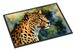 Leopard Doormat Front Door Mat Indoor Outdoor Rugs For Entryway, Non Slip Washable Low Pile, 24H X 36W_maomaolike.com