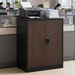 Metal Storage Cabinet With Locking Doors And Adjustable Shelf, Folding Filing Storage Cabinet , Folding Storage Locker Cabinet For Home Office,School,Garage, Black_maomaolike.com