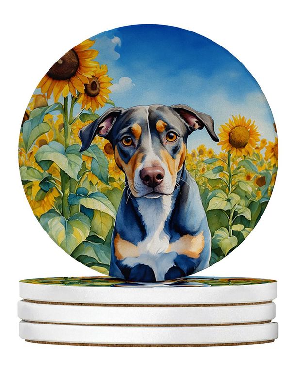 Catahoula In Sunflowers Large Sandstone Coasters Pack Of 4 Absorbent Round Coasters Decor Gifts For Men Or Women, 4 In, Multicolor_maomaolike.com