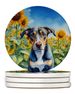 Catahoula In Sunflowers Large Sandstone Coasters Pack Of 4 Absorbent Round Coasters Decor Gifts For Men Or Women, 4 In, Multicolor_maomaolike.com