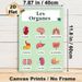 French-Labeled Human Organs Painting Poster, Bright Cartoon-style Anatomical Poster, Informative Design For Learning French Organ Terms, Ideal For_maomaolike.com