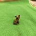 Metal Kitten Figurine Home Office Desktop Ornament Cat Tea Pet Brass Craft Decoration Wholesale_maomaolike.com