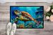 Loggerhead Sea Turtle Doormat Front Door Mat Indoor Outdoor Rugs For Entryway, Non Slip Washable Low Pile, 24H X 36W_maomaolike.com