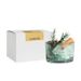 Aromatherapy Stone Flameless Essential Oil Diffuser Home Bedroom Incense Fragrance Crystal Ornament Niche Dried Flower Gift Dropsh_maomaolike.com