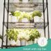 LED Quantum Board Plant Growth Lamp Indoor Aquarium Seedling Landscape Full Spectrum Green Plant Succulent Plant Fill Light_maomaolike.com