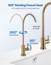 Stainless Steel Faucet, Lead-Free Water Purifier Faucet, Filter Water Faucets With Solid Brass Valve, Anti-Rust & Durability Ro Water Faucets For Kitchen, Bar Counter, Cafe Shop, Brushed Gold_maomaolike.com