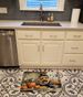 Lakeland Terrier Fall Kitchen Pumpkins Memory Foam Kitchen Mat Machine Washable Anti-Fatigue Mat Cushion Comfort Bath Mat Or Kitchen Rug_maomaolike.com