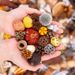 Natural Plant Materials Decorative Ornaments Wreath Handmade Hanging Decor Dried Fruit Combination Set DIY_maomaolike.com