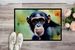 Chimpanzee Doormat Front Door Mat Indoor Outdoor Rugs For Entryway, Non Slip Washable Low Pile, 24H X 36W_maomaolike.com