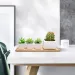 1pc Wooden Bamboo Tray Succulent Cactus Holder Pot Tray Simple Elegan Design Home Decor Plant Flower Pot Saucer Rectangle Shape_maomaolike.com