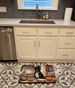 Rottweiler Fall Kitchen Pumpkins Memory Foam Kitchen Mat Machine Washable Anti-Fatigue Mat Cushion Comfort Bath Mat Or Kitchen Rug_maomaolike.com