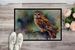 Tawny Owl Doormat Front Door Mat Indoor Outdoor Rugs For Entryway, Non Slip Washable Low Pile, 24H X 36W_maomaolike.com