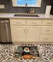Pomeranian Fall Kitchen Pumpkins Memory Foam Kitchen Mat Machine Washable Anti-Fatigue Mat Cushion Comfort Bath Mat Or Kitchen Rug_maomaolike.com