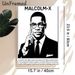 Malcolm-X Themed Painting Poster, Monochrome Bold Graphic Portrait Poster, Inspirational Civil Rights Leader Artwork For Home, Office And Study Areas_maomaolike.com